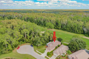 4440 Live Oak Blvd, Palm Harbor, FL 34685, Sold 12/01/21