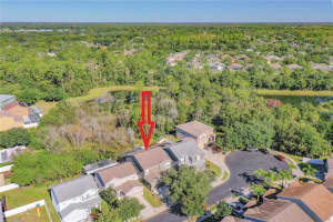 12509 Bay Branch Ct, Tampa, FL 33635, Sold 01/06/22
