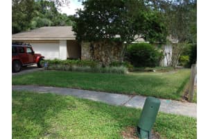 , TAMPA