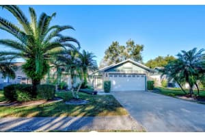 15134 Willowdale Rd, Tampa, FL 33625, Sold 01/10/22
