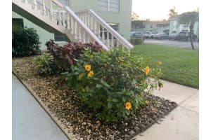 1250 Pinellas Ave, Tarpon Springs, FL 34689, Sold 02/01/22