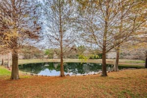 2262 Chianti Pl, Palm Harbor, FL 34683, Sold 01/31/22
