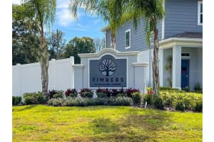 2941 Rambler Ivy Lp, Brandon, FL 33510, Sold 03/07/22