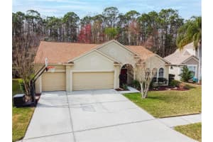 4314 Ellinwood Blvd, Palm Harbor, FL 34685, Sold 03/25/22