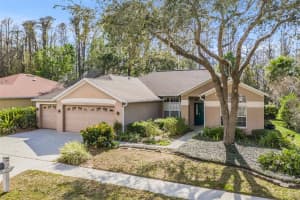 1149 Wyndham Lakes Dr, Odessa, FL 33556, Sold 04/18/22