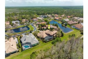 2720 DEER TRACK WAY, PALM HARBOR, FL 34685 Sold 11/25/23