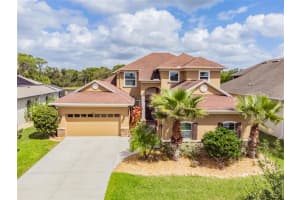 3401 Diamond Falls Cir, Land O' Lakes, FL 34638, Sold 04/29/22