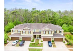 20308 Starfinder Way, Tampa, FL 33647, Sold 04/29/22
