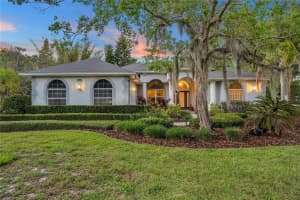 13721 Mill Pl, Odessa, FL 33556, Sold 05/20/22
