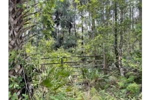 8107 W MAYFAIR DR, HOMOSASSA, FL 34448 - MLS#MFRU8159965