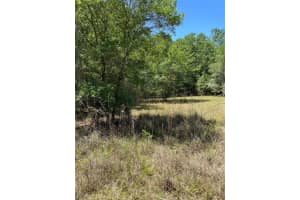 9368 RIVEROAK LANE, INVERNESS, FL 34453 - MLS#MFRU8160028