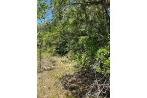 9368 RIVEROAK LANE, INVERNESS, FL 34453 - MLS#MFRU8160028