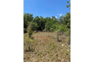 9368 RIVEROAK LANE, INVERNESS, FL 34453 - MLS#MFRU8160028