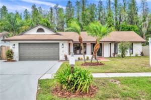 3417 Bloomingdale Oaks Dr, Valrico, FL 33596, Sold 06/14/22