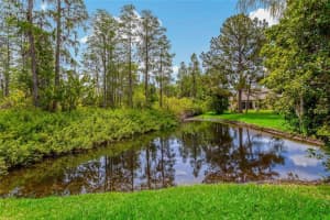 1334 Wild Pine Ct, Trinity, FL 34655, Sold 06/14/22