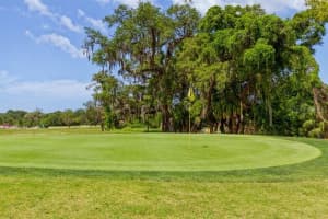 2108 Oak Cir, Tarpon Springs, FL 34689, Sold 06/24/22