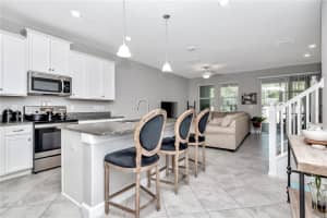 6823 CITRUS CREEK LN, TAMPA, FL 33625 Sold 09/14/22