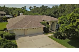 4165 ARLINGTON DR, PALM HARBOR, FL 34685 Sold 07/15/22