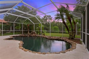 17926 CACHET ISLE DR, TAMPA, FL 33647 Sold 07/18/22