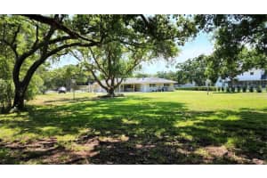 1980 SADDLE HILL RD N, DUNEDIN, FL 34698 Sold 07/07/22