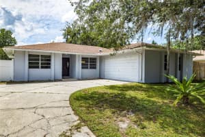 3733 MERIDEAN PL, LAND O LAKES, FL 34639 Sold 12/27/22