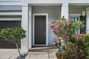 11301 QUIET FOREST DR, TAMPA, FL 33635 Sold 08/15/22
