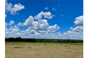 PARRISH GROVE ROAD, DADE CITY, FL 33523 - MLS#MFRU8165473