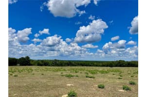 PARRISH GROVE ROAD, DADE CITY, FL 33523 - MLS#MFRU8165473