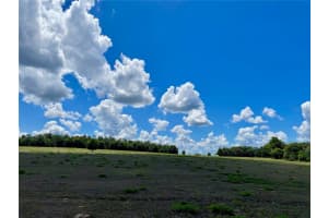 PARRISH GROVE ROAD, DADE CITY, FL 33523 - MLS#MFRU8165473