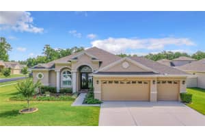 27159 HAWKS NEST CIR, WESLEY CHAPEL, FL 33544 Sold 07/29/22