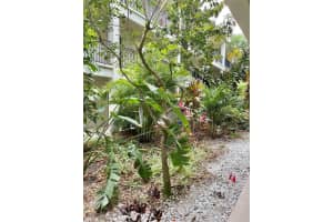 2700 BAYSHORE BLVD #6208, DUNEDIN, FL 34698 Sold 06/01/23