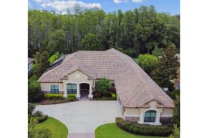 17414 Varona Pl, Lutz, FL 33548, Sold 06/28/22
