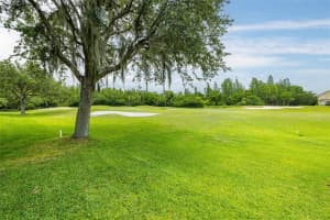 19327 SEACOVE DR, LUTZ, FL 33558 Sold 07/08/22