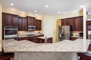 519 VINTAGE WAY, BRANDON, FL 33511 Sold 07/28/22