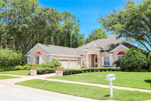 3611 HALBERT DR, PALM HARBOR, FL 34685 Sold 10/06/22