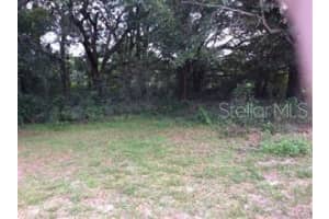 709 ROOKS AVENUE, INVERNESS, FL 34453 - MLS#MFRU8166851