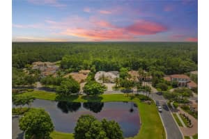 2719 HAWKS LANDING BLVD, PALM HARBOR, FL 34685 Sold 08/25/22