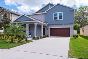 14250 BLUE DASHER DR, RIVERVIEW, FL 33569 Sold 08/01/22