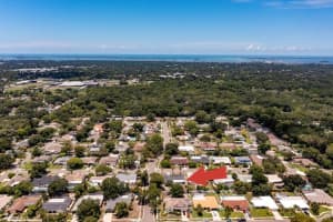3143 FIESTA DR, DUNEDIN, FL 34698 Sold 08/19/22