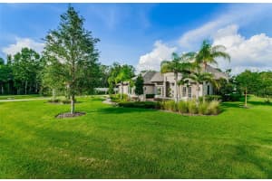 19121 MAGNOLIA FARMS LN, ODESSA, FL 33556 Sold 08/31/22