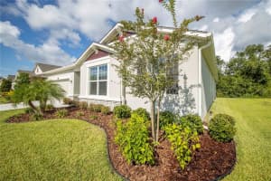 11501 CEDAR VALLEY DR, RIVERVIEW, FL 33569 Sold 08/19/22