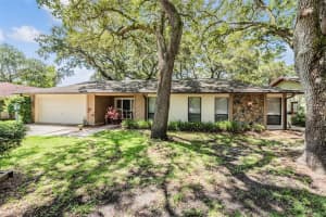 2227 WILLOWBROOK DR, CLEARWATER, FL 33764 Sold 10/07/22