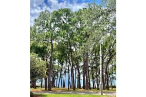 2700 BAYSHORE BLVD #6200, DUNEDIN, FL 34698 Sold 02/13/23