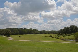 4326 LIVE OAK BLVD, PALM HARBOR, FL 34685 Sold 08/11/22