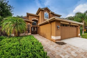 311 STALLION CT, TARPON SPRINGS, FL 34688 Sold 09/10/22