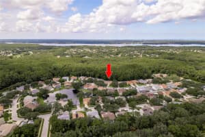 4284 Ellinwood Blvd, Palm Harbor, FL 34685, Sold 10/03/22