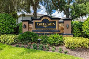 13924 JACOBSON DR, ODESSA, FL 33556 Sold 12/09/22