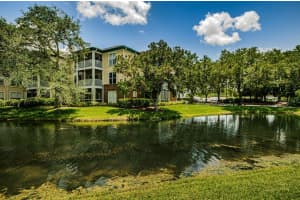 4211 Chatham Oak Ct, Tampa, FL 33624, Sold 10/13/22