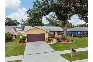 9909 Weiskopf Dr, New Port Richey, FL 34655, Sold 10/03/22
