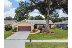 9909 Weiskopf Dr, New Port Richey, FL 34655, Sold 10/03/22
